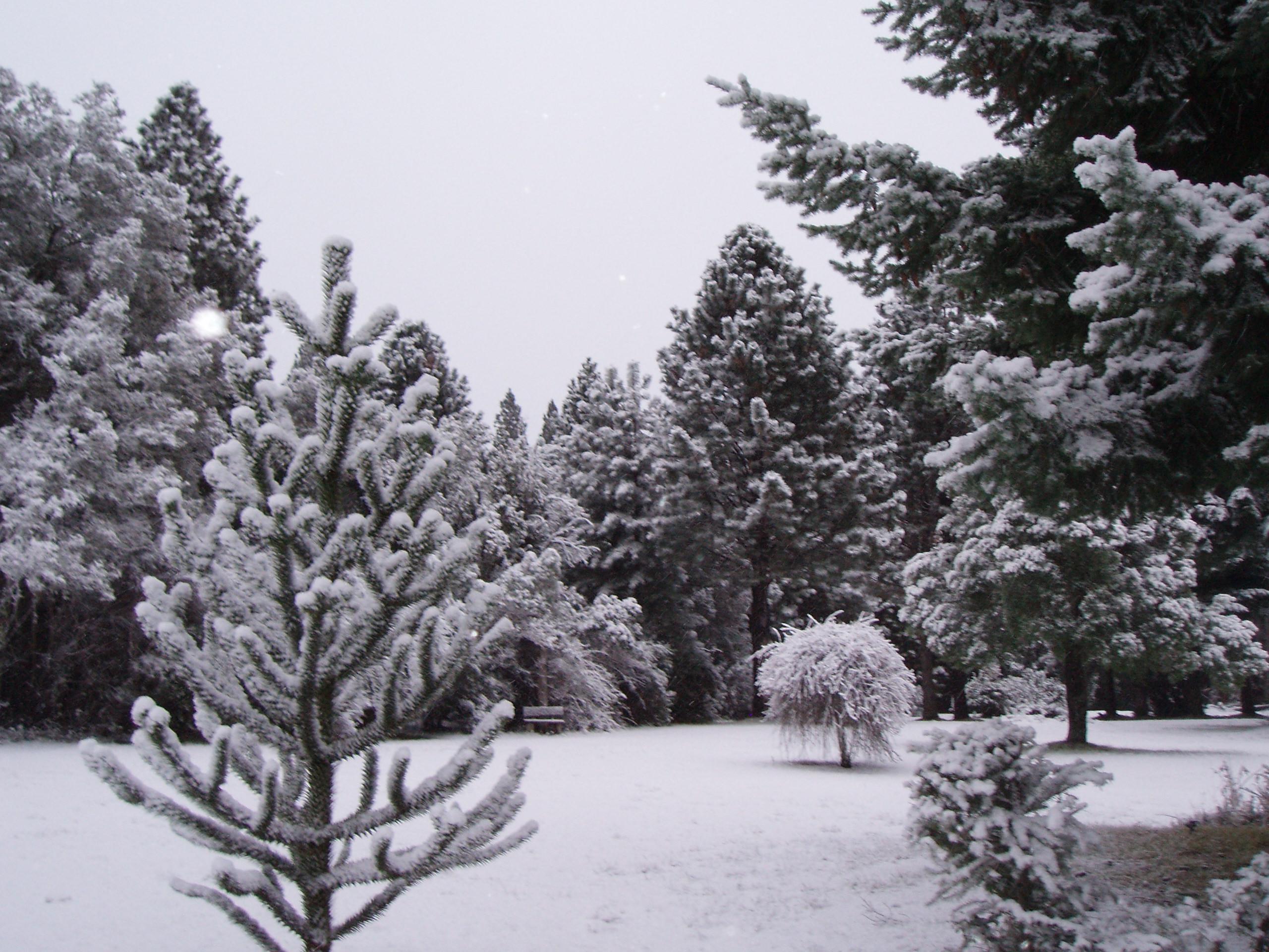 Posada Del Angel ซานคาร์ลอส เด บาริโลเช ภายนอก รูปภาพ